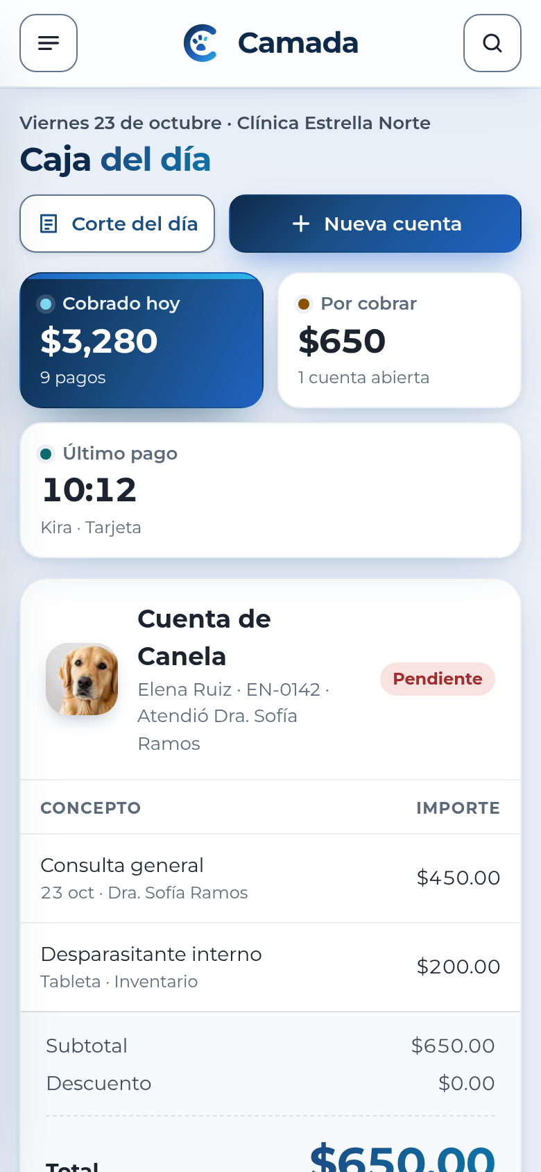 Camada · Caja en el celular, datos de ejemplo