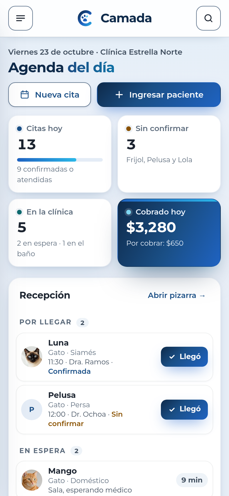 Recepción de Camada en el celular, datos de ejemplo